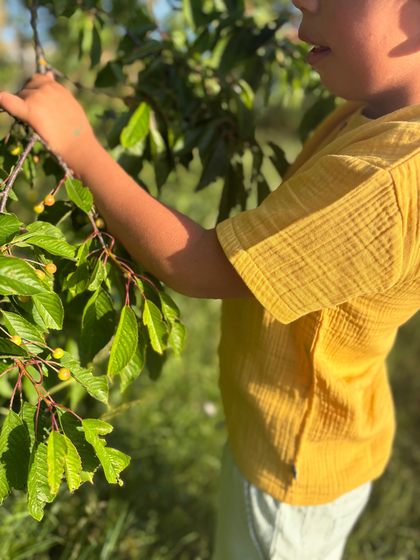 Musselin Shirt in honey