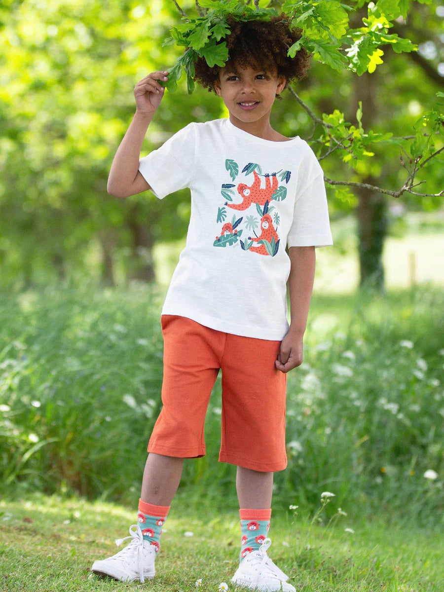 Kite Corfe Shorts Spice