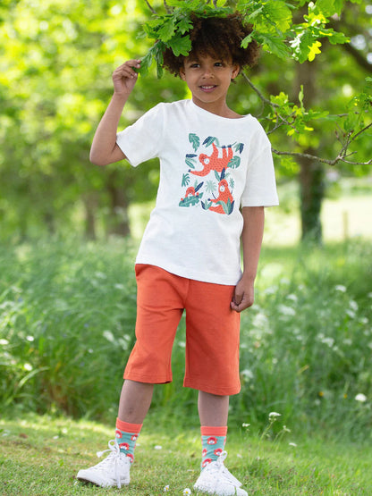 Kite Corfe Shorts Spice