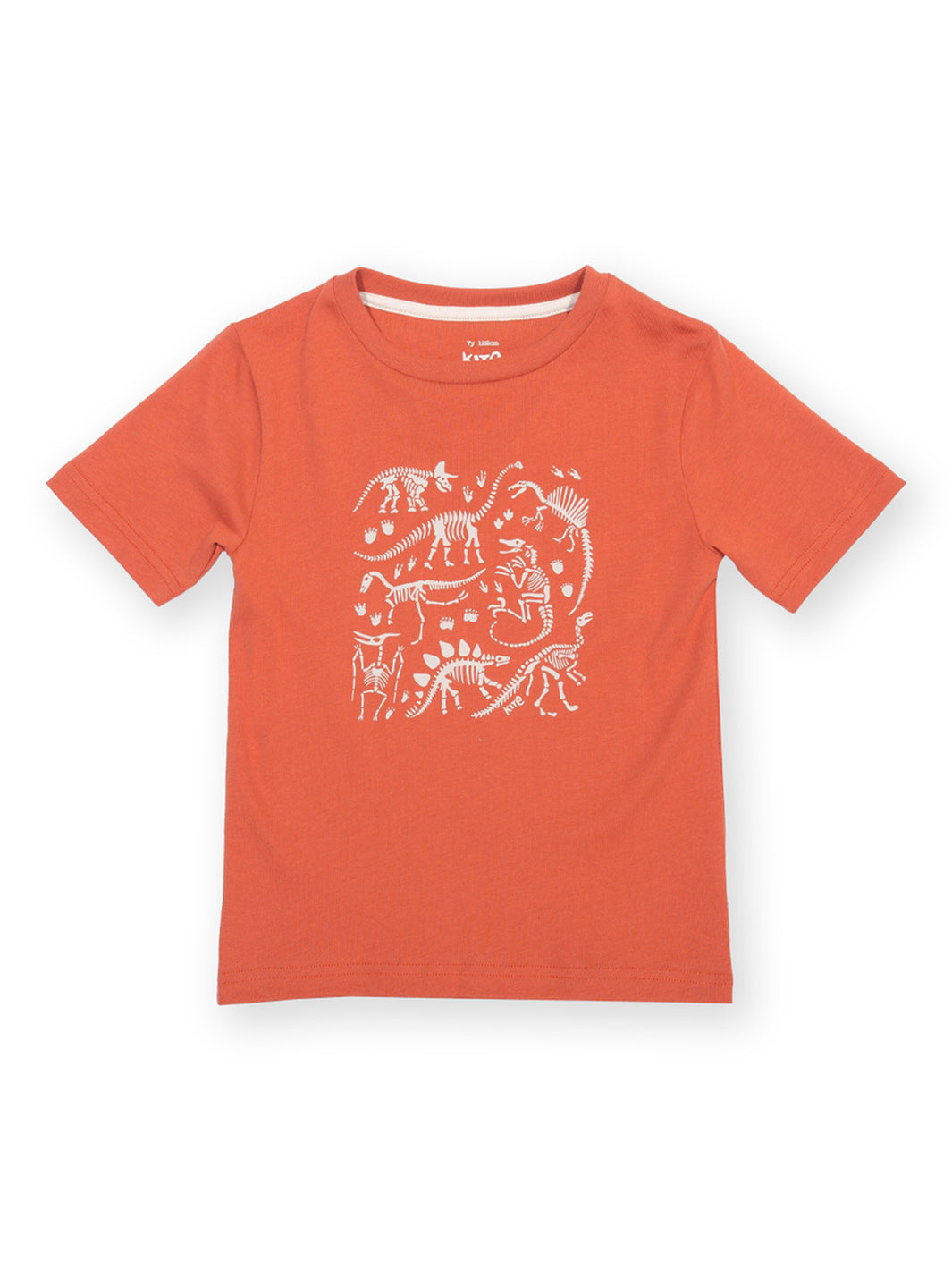 Kite Dino Discovery T-Shirt