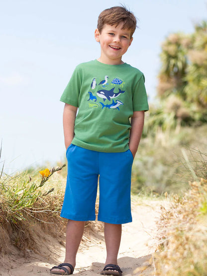 Kite Corfe Shorts Peacock